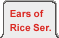 Opens 'Ears of Rice Series' Page