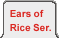 Opens Ears of Rice Series Page